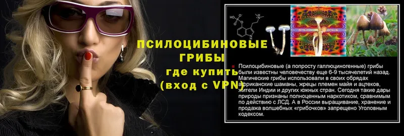 Галлюциногенные грибы Psilocybine cubensis  mega ТОР  Соликамск  наркотики 